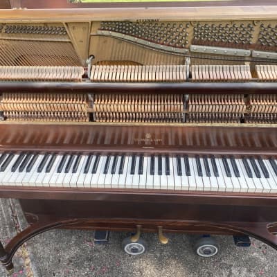 Steinway & Sons upright piano model "P" image 6