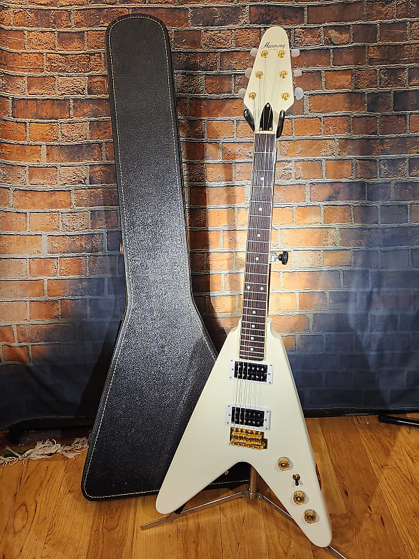 ハ*キ様 GlassRoots Seymour Duncan ロックペグ 搭載 Amazon.com: CAHAYA Electric Guitar Case Padded - Gig Bag