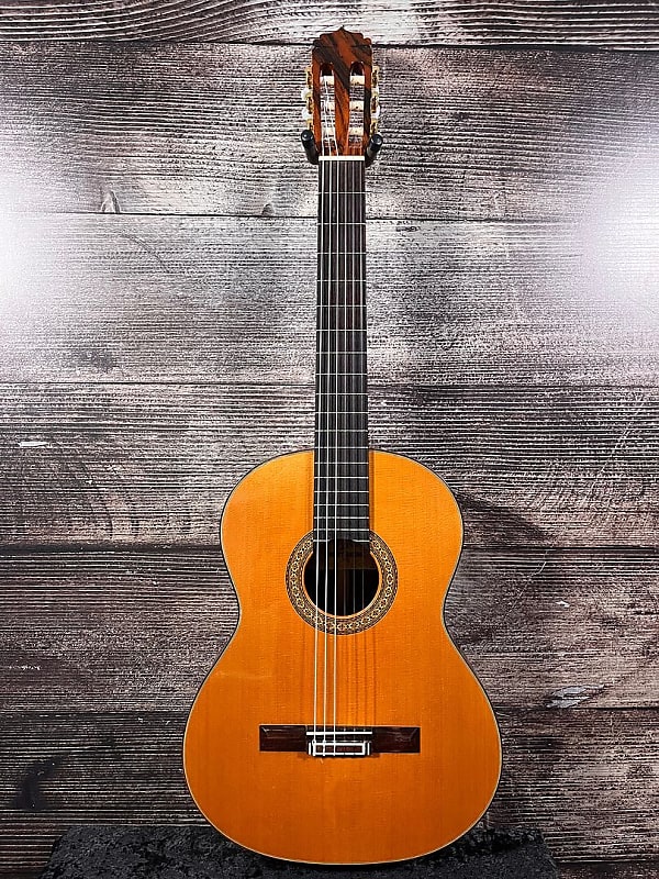 ARIA AC50 Classical Acoustic Guitar (Tampa, FL) | Reverb