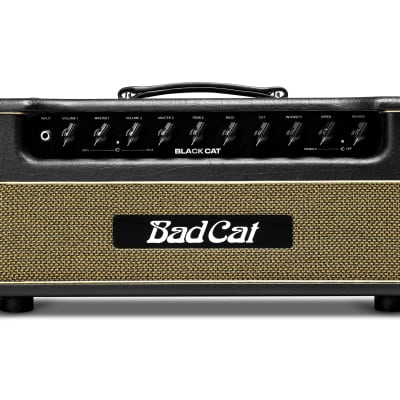 Bad Cat Black Cat 2 Channel 20W Amplifier Head 2xEL84 *Authorized Dealer image 2