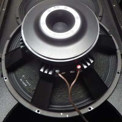 Selenium 18 hot sale inch speakers