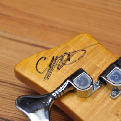 F Bass Fretless 4-30 image 17