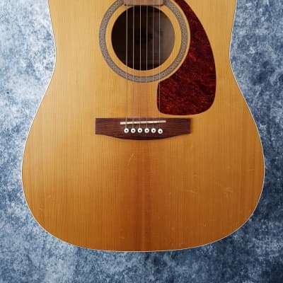 Norman B20 Solid Top Acoustic Guitar - Natural - Pre-Loved  (Okay Condition) for sale