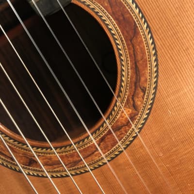 Richard Prenkert 7-String Guitar #401 2019 image 11