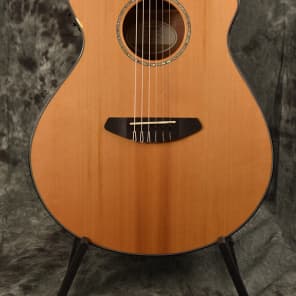 Breedlove Pursuit Nylon String Guitar. 2014 Gloss Cedar w/ Sapele Back and Sides. Delux Gigbag! image 1
