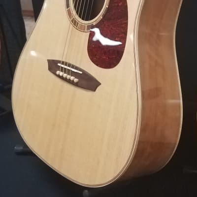 Mazzocco Primo Ciliegia, Boutique Hand-Crafted Acoustic Guitar image 2