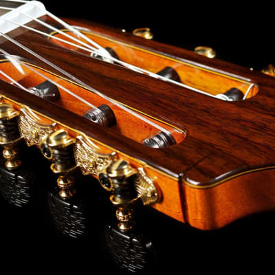 Cordoba C9 Classical Guitar Cedar/Mahogany image 4