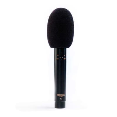 Audix ADX51 Studio Condenser Instrument Microphone image 2