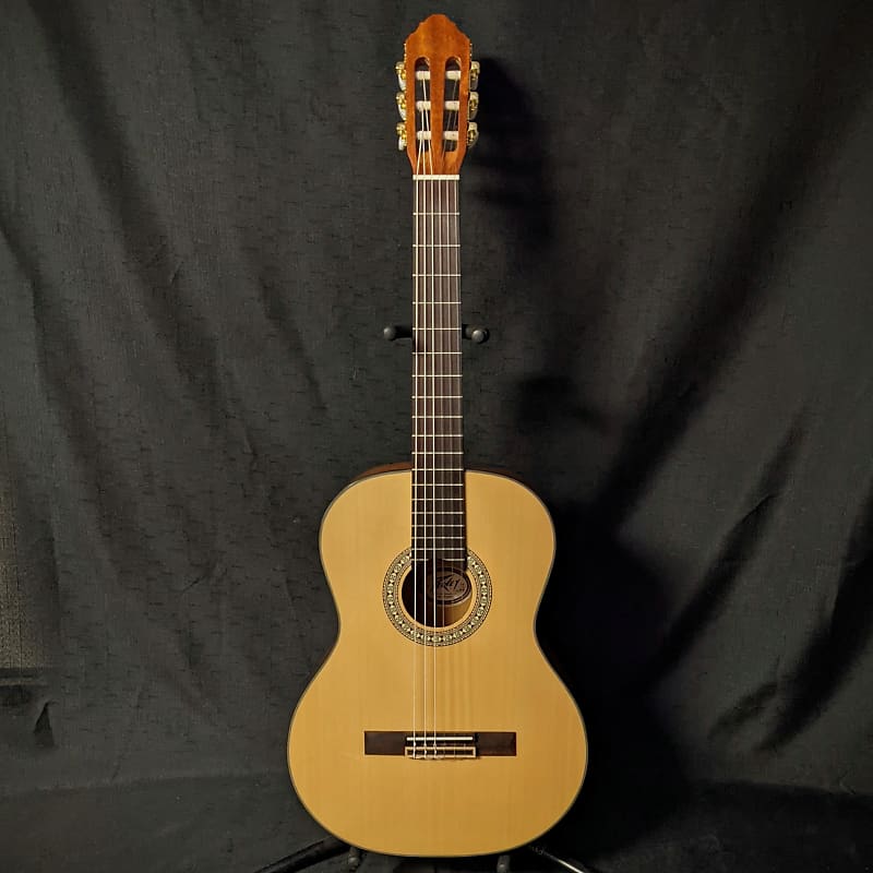 Delta Woods® CNS-2™ Classical Nylon String Guitar - Peavey Electronics  Corporation