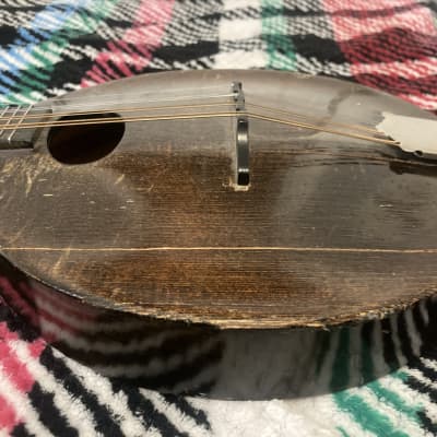 Gibson A-Junior Mandolin 1920's - Chocolate image 16