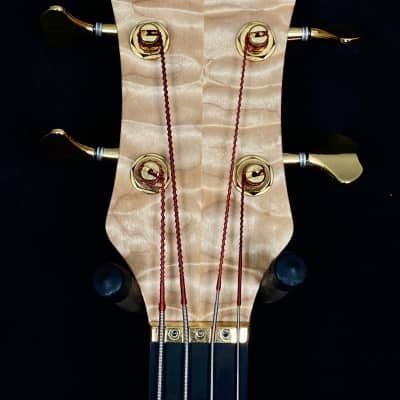 Alembic Series II 4-string "Heart of Gold" in quilted maple with case from Jan.14.2004 image 9