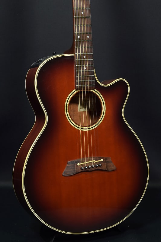 Takamine PT-106-6 シングルヘッド ホール＆コンタクトPU付 Takamine PT-106-6 シングルヘッド ホール＆コンタクトPU付