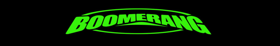 Boomerang Looper LLC