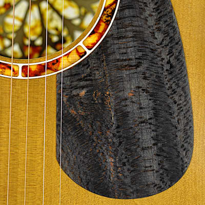 Turkowiak double-top GA acoustic guitar #524 - "Black Diamond" tier image 15
