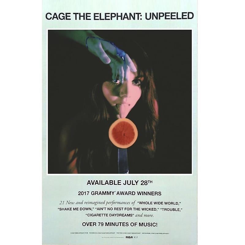 Cage the Elephant - Trouble (Karaoke) 