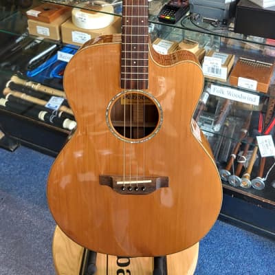 Ashbury Lindisfarne Electro Acoustic Tenor Guitar for sale