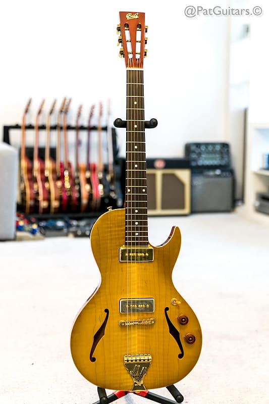 B&G Guitars Little Sister Private Build Cutaway | Reverb Sweden