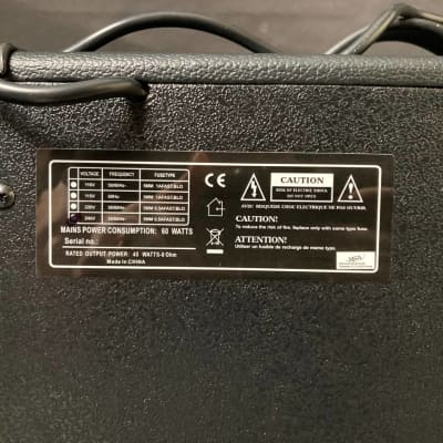 New Bass Amplifier BG-45 Vision 40 Watt image 6