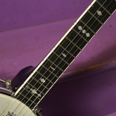 2022 Gold Tone OT-800LN Longneck 5-String Banjo (VIDEO! Fresh Setup, Ready) image 5