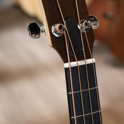 Taylor GS Mini-e Maple Acoustic/Electric Bass w/ GS Mini Hard Bag - Demo image 5