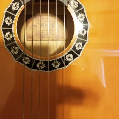 Valencia Nylon String Acoustic Guitar CG160, 1972 Blood | Reverb