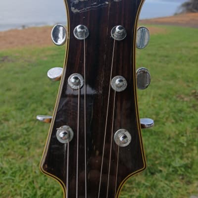 Teisco DG-67 1967 - Buttercream image 12
