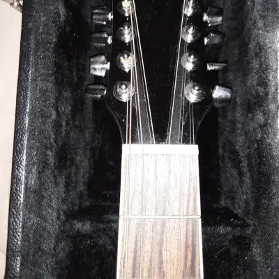 Ibanez 12 string Acoustic Guitar SGT122-NT  2014  w/ hardshell case image 3
