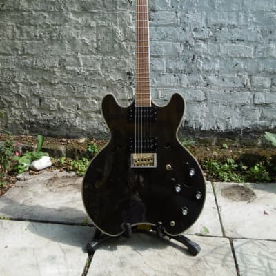 激レアDaion hh-555 Headhunter 555 ダイオン　セミアコ Daion Headhunter 555 Hollow Body - Quilted Tobacco Burst | eBay