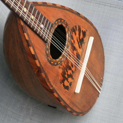 MANDOLIN ANTIQUE ITALIAN BOWLBACK ‘IL GLOBO’ 1890s ITALY image 10