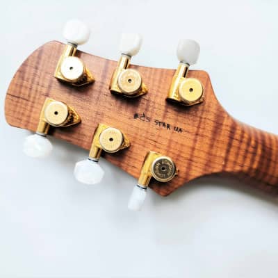 Bond Guitars Limited Edition Star UNITED24 Azovstahl '2023 Support Ukraine image 8