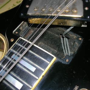Fretless hotsell wonder frets
