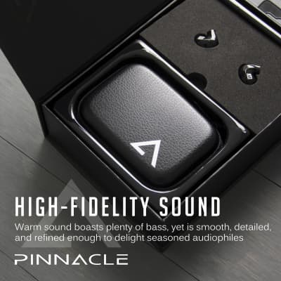 MEE audio Pinnacle P2 High Fidelity Audiophile in-Ear Headphones with Detachable Cables image 3
