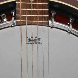 Trinity River 6 String Banjo image 9