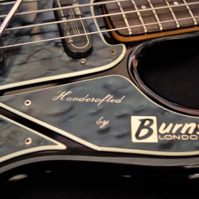 Burns Black Bison Bass 1964 image 6