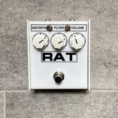 ProCo Ikebe Limited Edition Rat 2