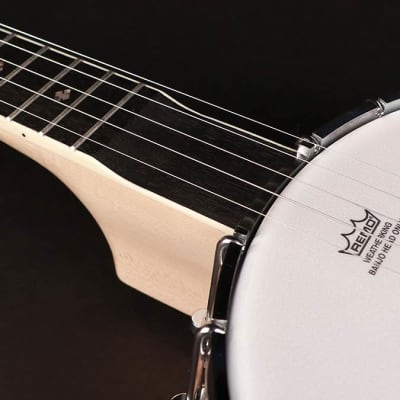 Richwood Master Series RMB-1405-LN long neck open back 5-string banjo image 5