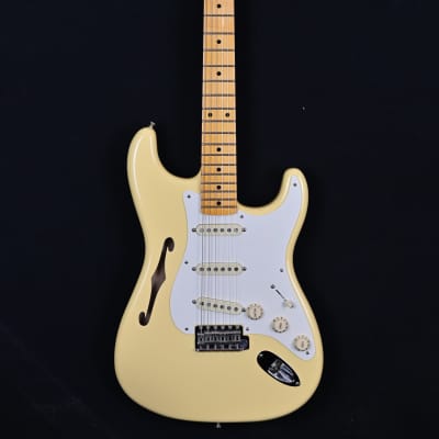 Fender Eric Johnson Thinline Stratocaster with Maple Fretboard from 2018 in Vintage White with original Hardcase for sale