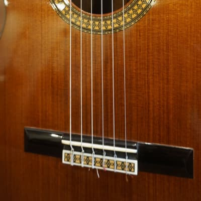 Manuel Contreras Brazilian Rosewood Master Guitar image 6