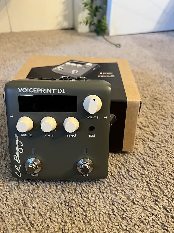 LR Baggs Voiceprint DI Acoustic Guitar Impulse Response Pedal | Reverb