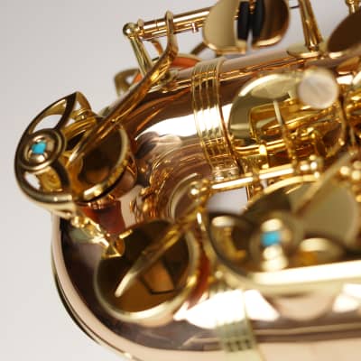 [In Stock]_Freeshipping! Yanagisawa Alto saxophone A WO-2 [AWO2]Bronze Brass Body image 10
