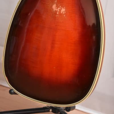 Heinz Seifert Favorit Teardrop – 1950s Migma German Vintage Archtop Semi Hollow Bass Guitar / Gitarre image 14
