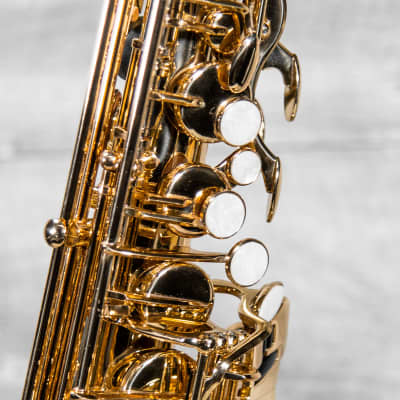 Soloist Student Alto Sax Outfit Used image 4