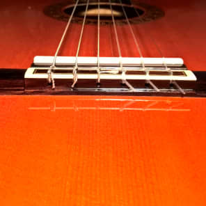 Alvarez Professional Series Model 5202 Classical Guitar -- Mint Condition; w/ SKB Hard Shell Case image 20
