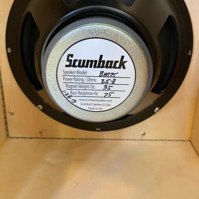 Germino 4x12 Black With Scumback Speakers image 13