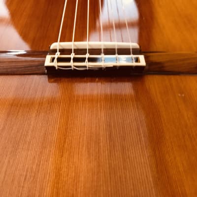 LA ESPERANZA ラ・エスペランサ アルトギター　CLASE 303 LA ESPERANZA ラ・エスペランサ アルトギター CLASE 303 - メルカリ