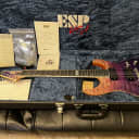 ESP USA Horizon-II /BKP Rags