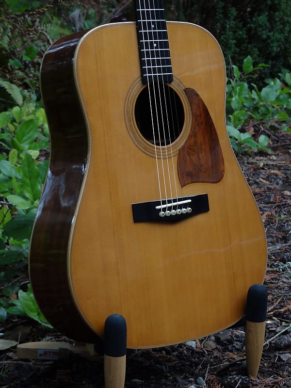 1982 Ibanez Artwood AW80. Solid Spruce Top, Solid Rosewood