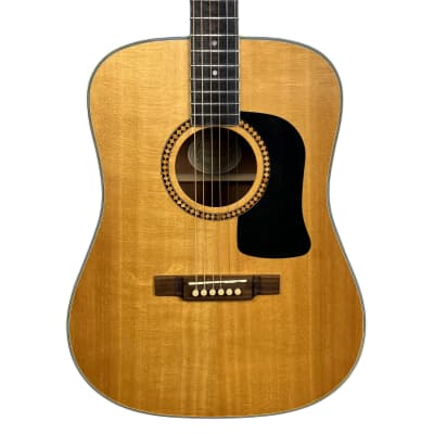 Washburn D10S Dreadnaught Acoustic Guitar (Used) for sale