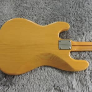 N-PB | ESP GUITARS