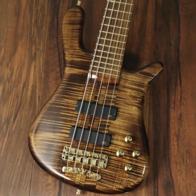 Warwick Streamer Stage I 5st High Polish Antique Tobacco Stain (S